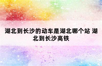 湖北到长沙的动车是湖北哪个站 湖北到长沙高铁